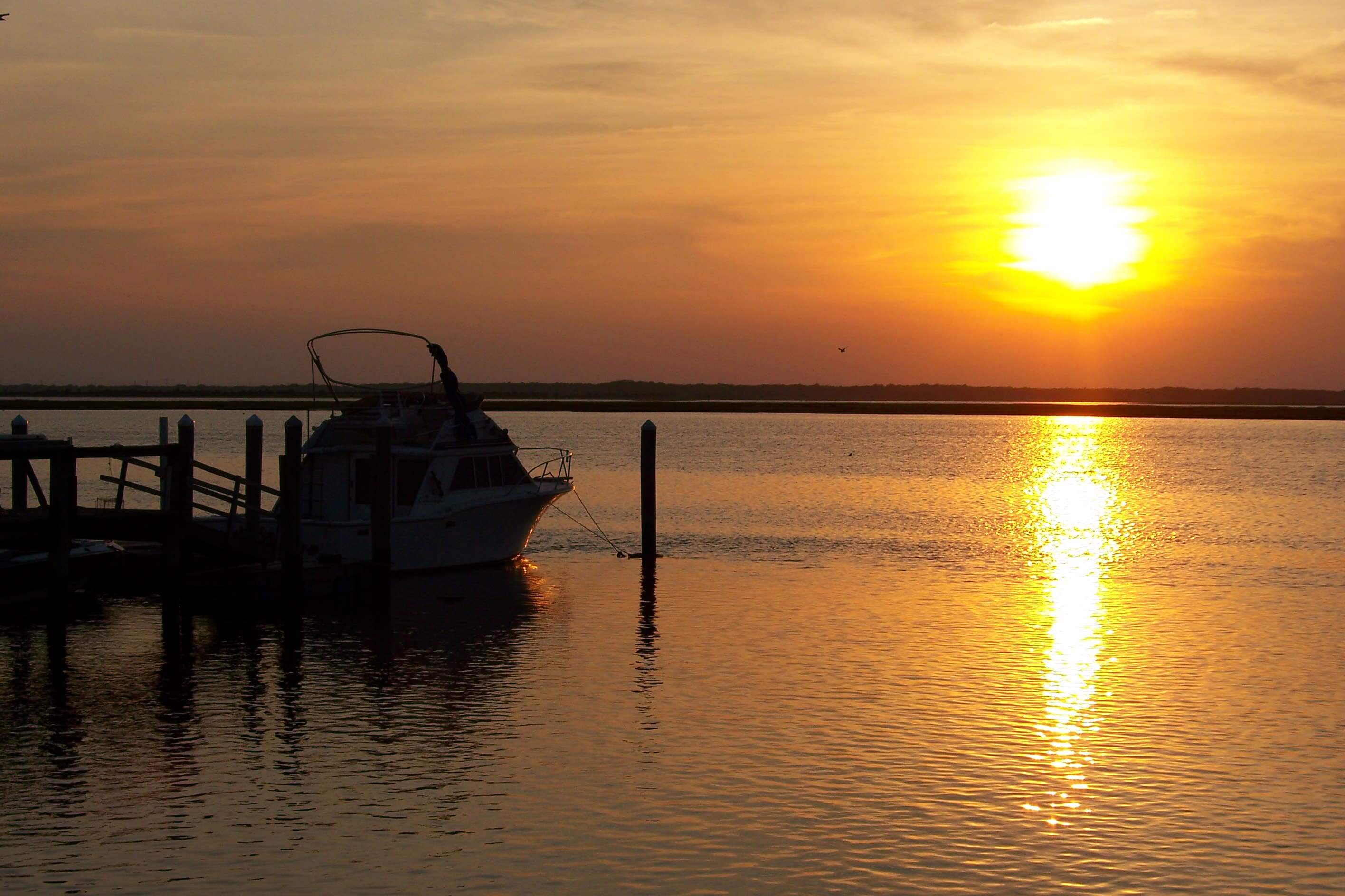 Herald Cape May