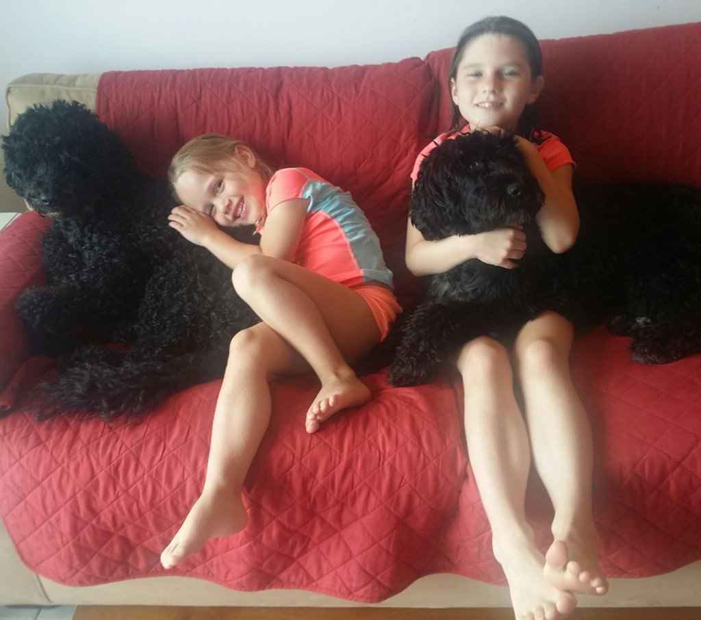 The Pet Privilege: How Animals Help Children Thrive