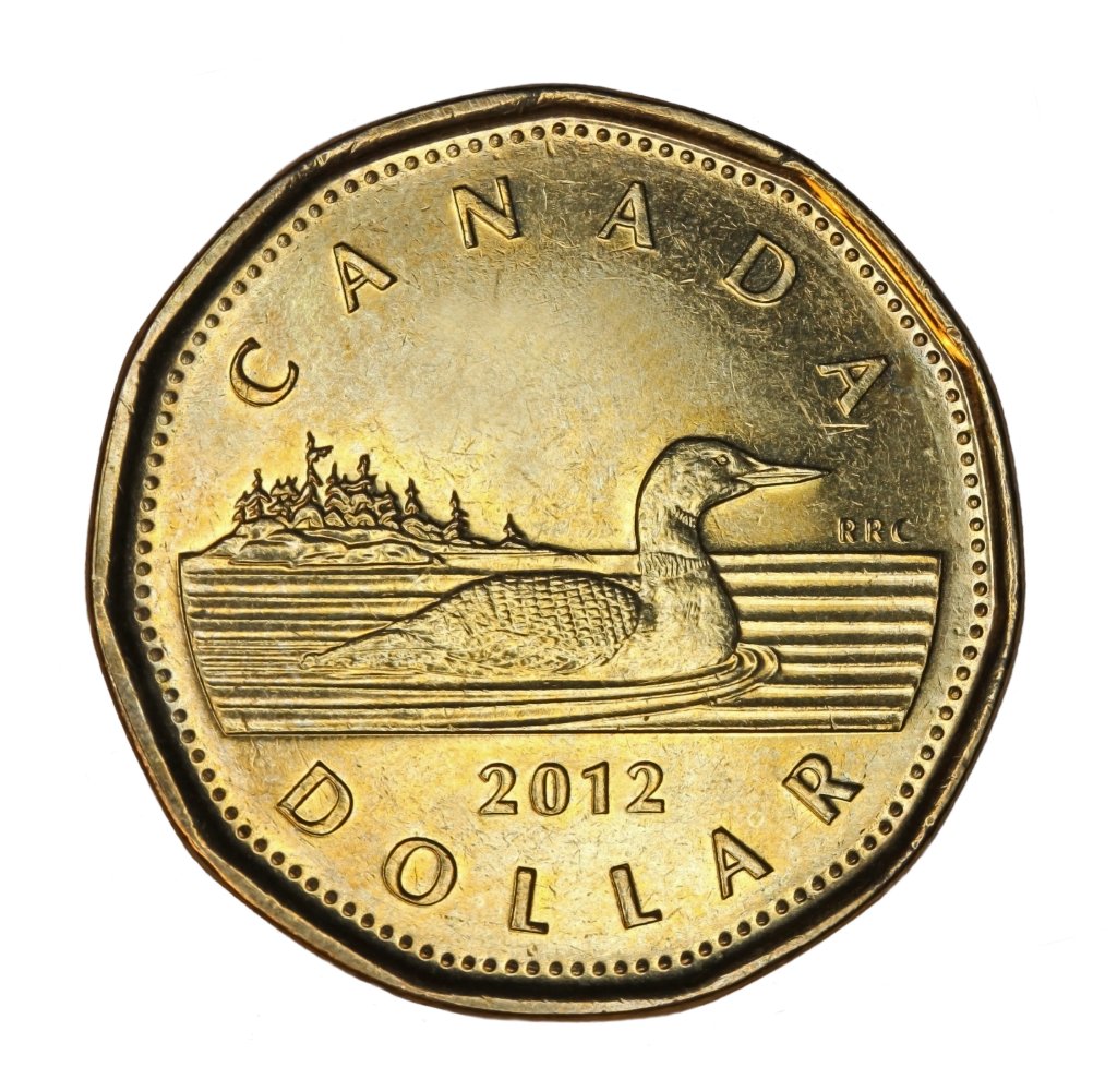 Canadian loonie.