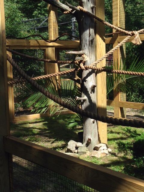 Zoo Sets Dedication for Tamarin Exhibit