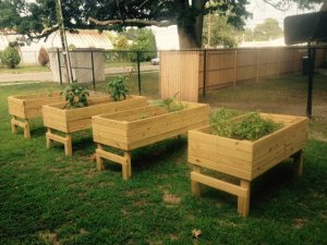 Woodbine Garden Grows  Helped by Many Hands