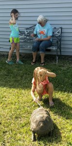 A Turtle Singer Visit: Teaching the Young about Ecology