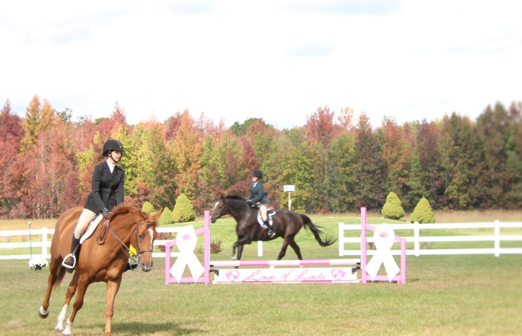 Horses parade around the Love of Linda horse jump.