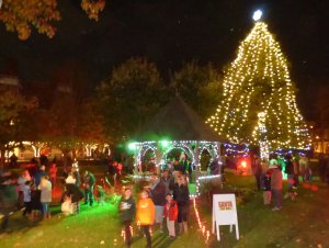 PHOTOS: MAC Christmas Tree Lighting