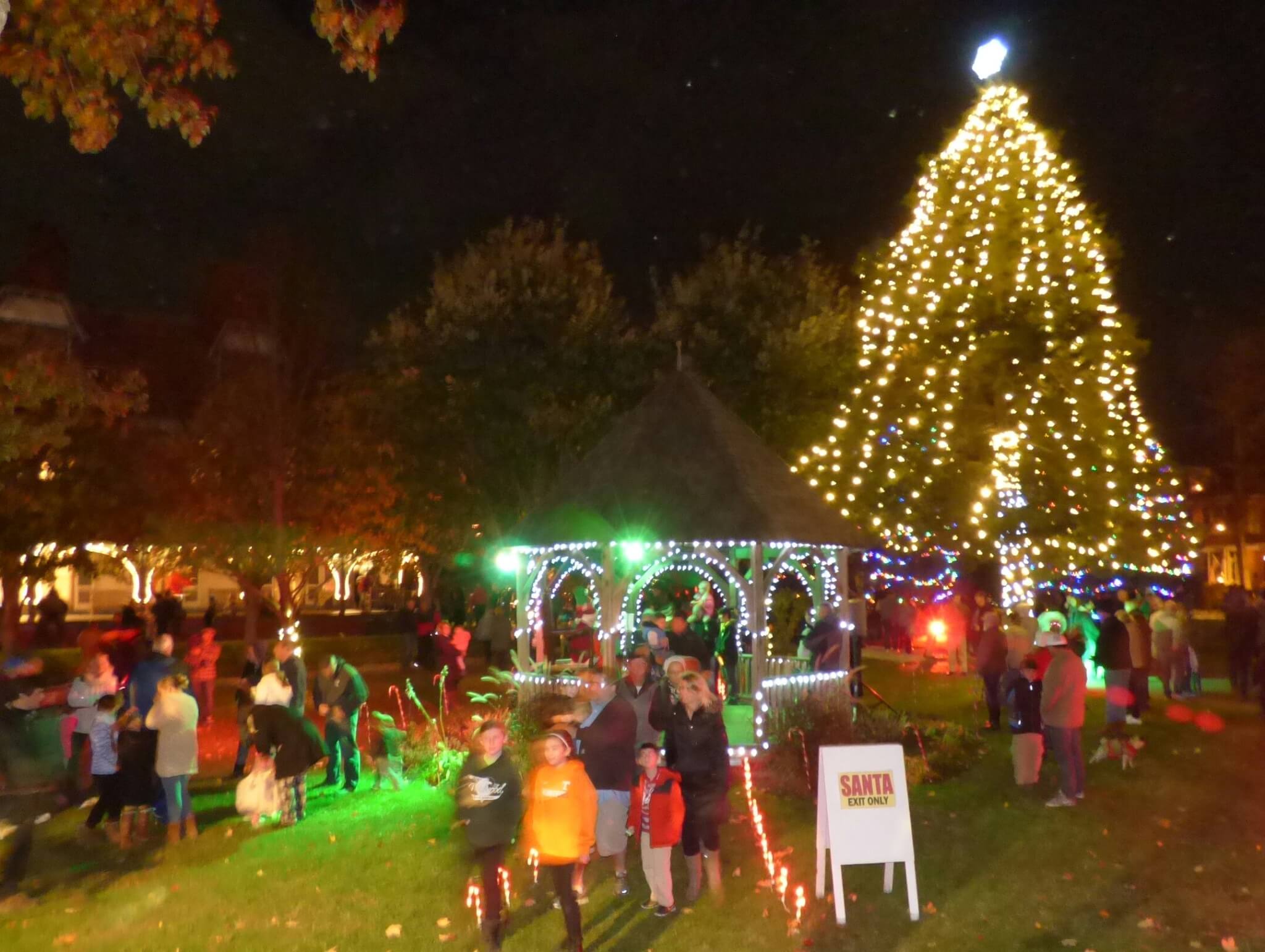 PHOTOS MAC Christmas Tree Lighting Cape May County Herald