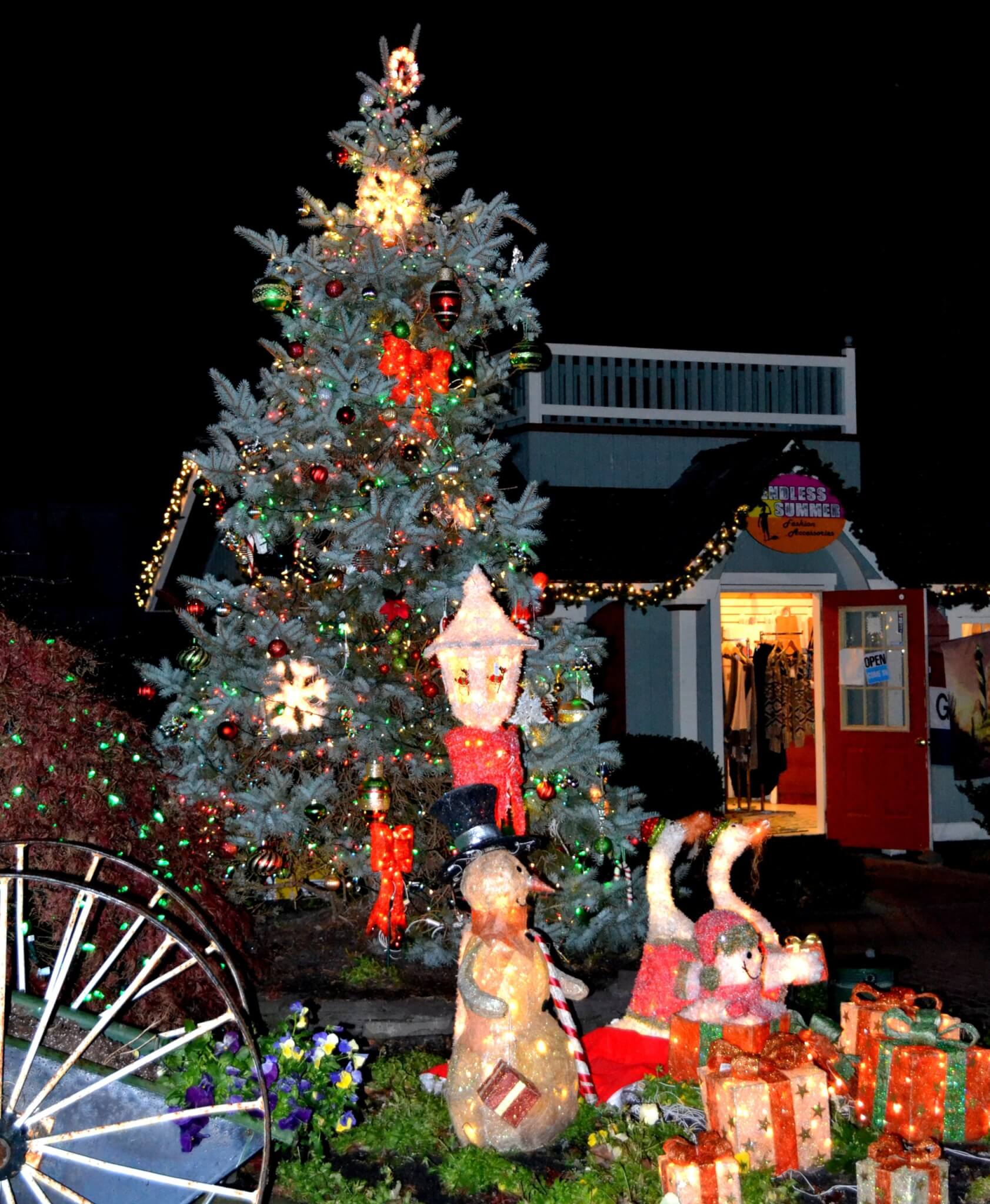 Woodland Village's Tree Lighting, Hospitality Night Cape May County