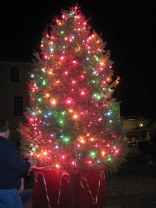 West Wildwood lights borough Christmas tree; the Christmas festivities will soon be started in the borough.