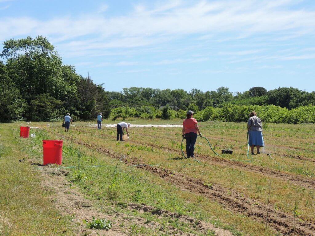 Community Garden