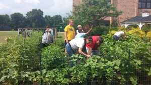 Student gardeners and instructors harvest vegetables from Lower Cape May Regional’s community garden by the Erma school. The garden produced more than the first in 2015. The crop was shared with a Villas food pantry.