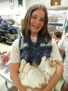 Shown at the 2015 Cape Rabbit Show