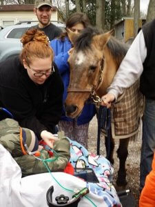 Logan feeds Tigger the pony.