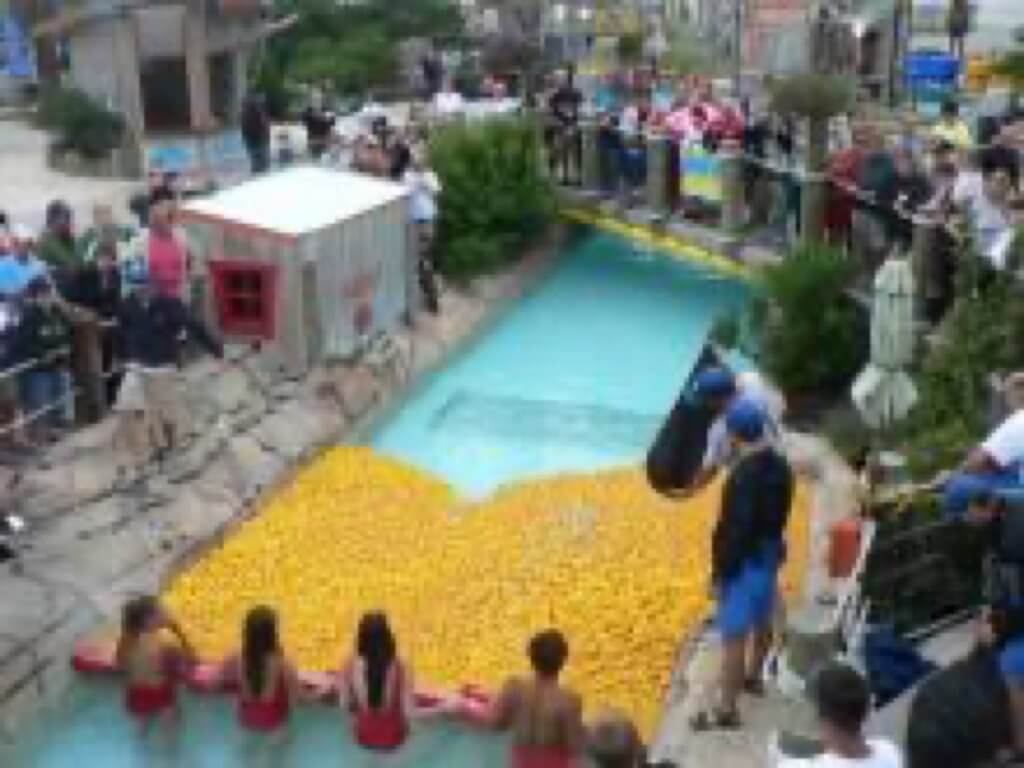 United Way’s Rubber Ducky Regatta is Set for August 14