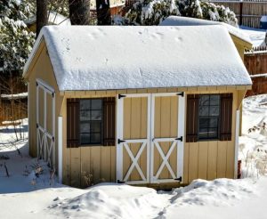 Seashore Sheds Winter