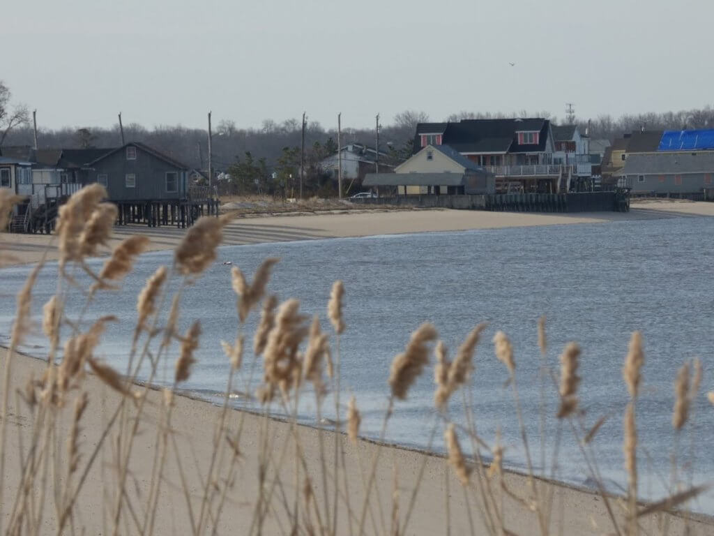 Reed's Beach.