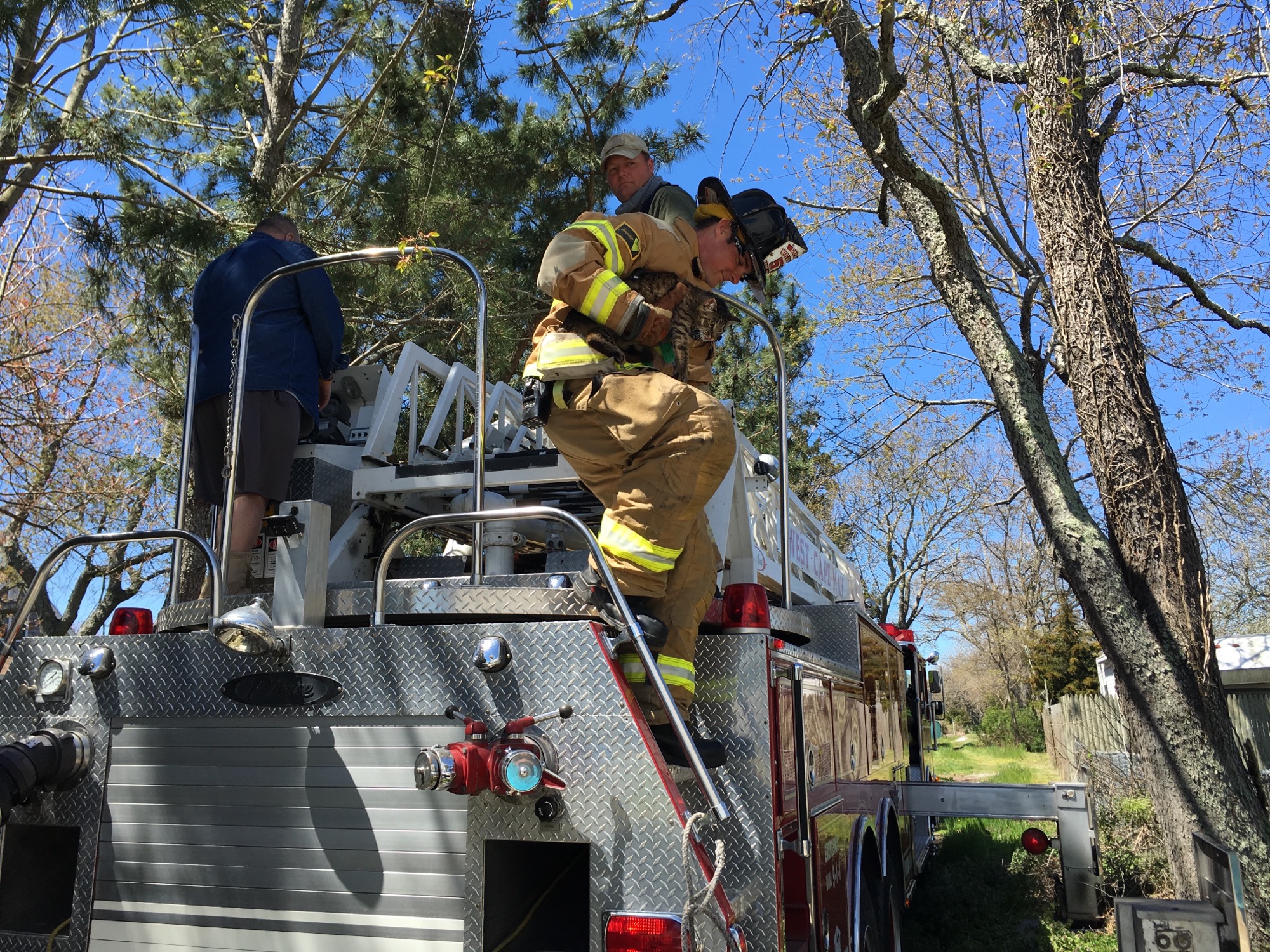 West Cape May Fire Department Rescues Cat from Tree - Cape May County 