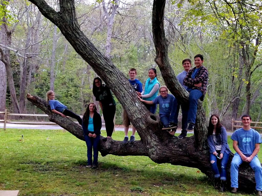 4-H Teen Ambassadors/Junior Horse Council