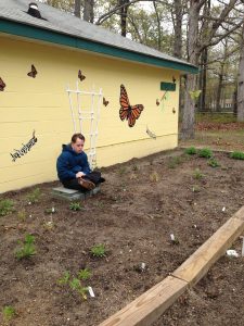 Sam in the new Monarch butterfly garden on the 4-H Fairgrounds.