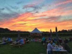 Rootstock Concert Series at Hawk Haven Vineyard Grows Stronger in Second Year