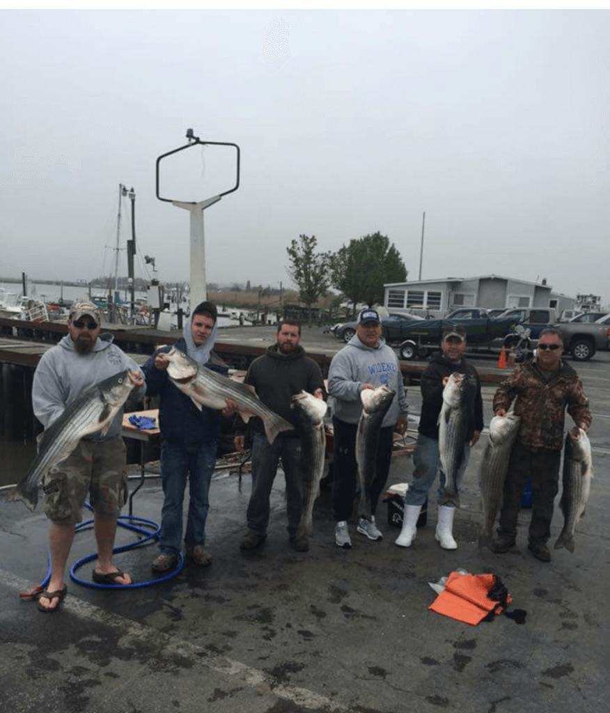 A productive striper outing.