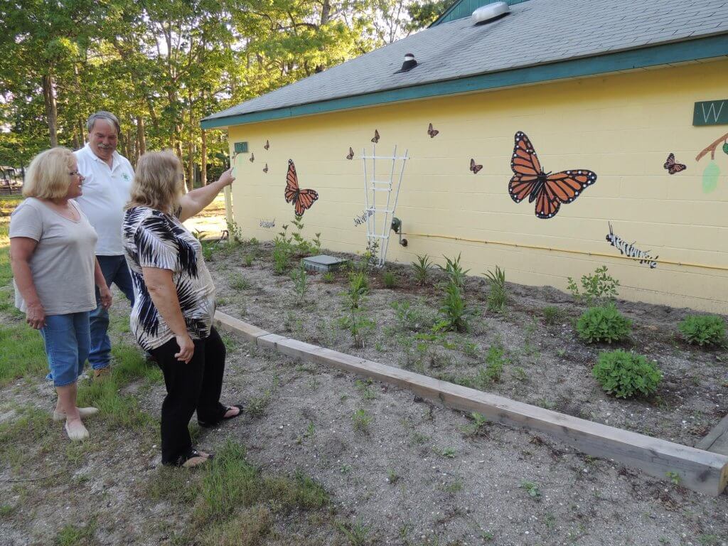 Butterfly Garden