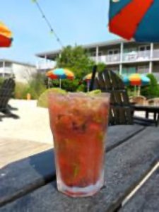 Video Drink of the Week: Beach Plum Farm Berry Mojito