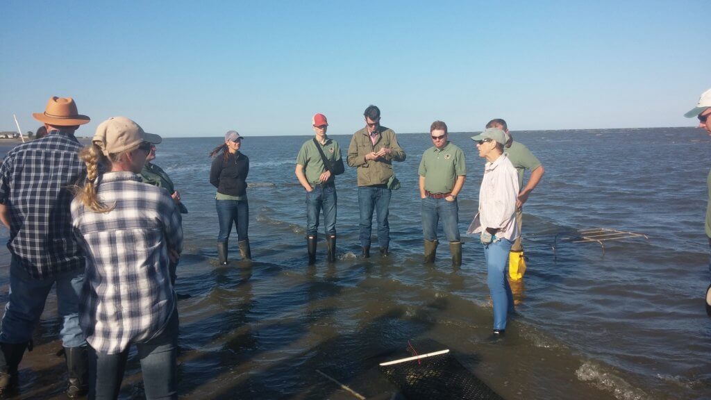 Oyster racks can be seen in the Delaware Bay as the tide starts coming in. There are eight oyster farms along the state's bayshore.