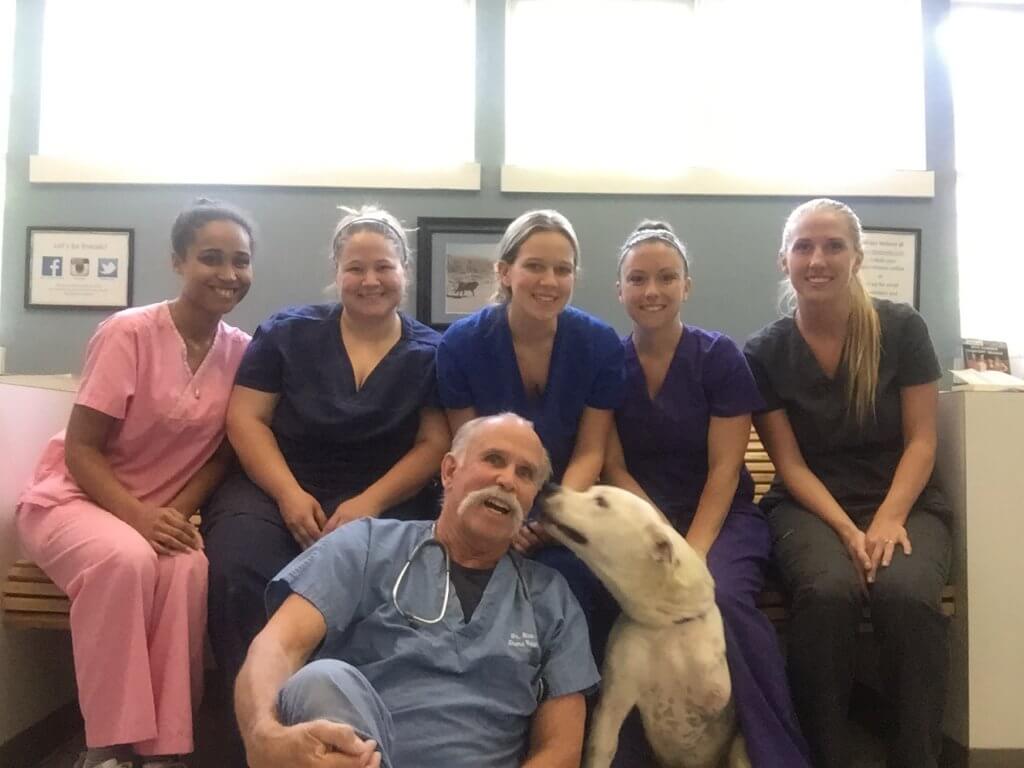 Dr. Nick Holland with Prince and his Shore Veterinarians Staff: Regina