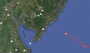 Great white shark Mary Lee pings off of Ocean City at 8:52 p.m. May 6.