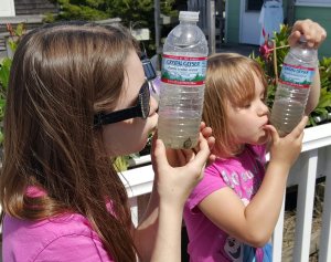 The Snail Tale: Fun-filled Education about Marshlands