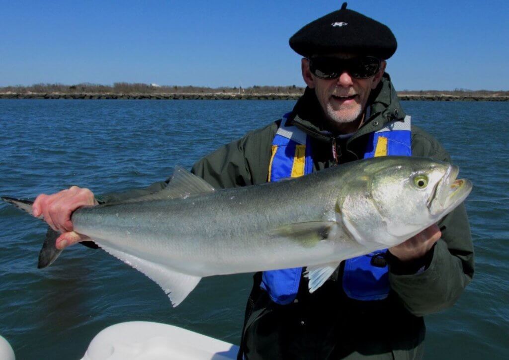 A big bluefish.