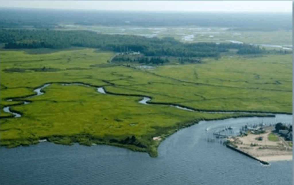 Christie Administration Completes Project Restoring Degraded Delaware Bay Wetlands Using Dredge Materials