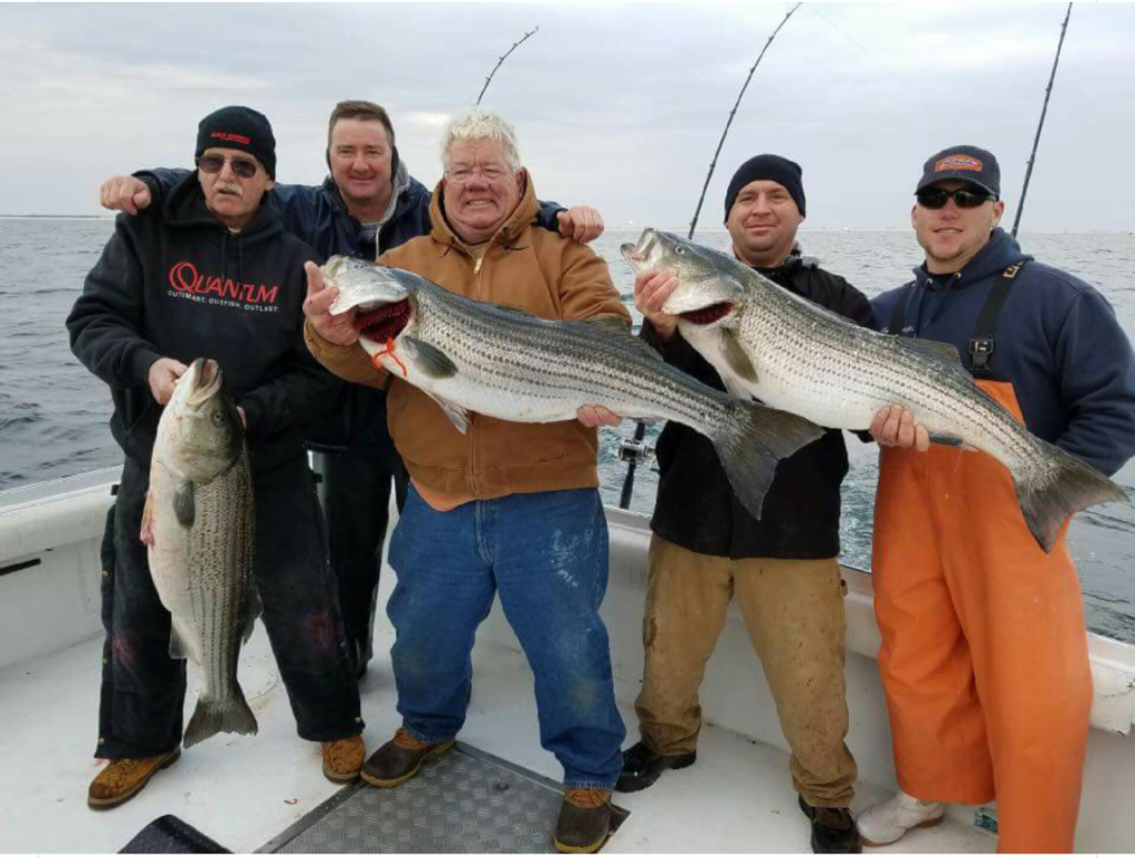 Three nice stripers. 