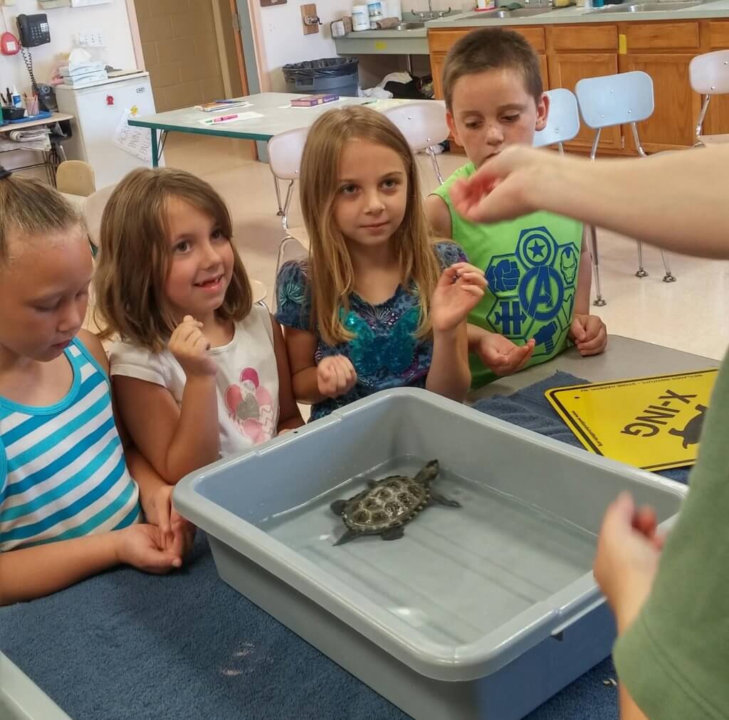 Wetlands Institute Brings Turtles to Margaret Mace 1