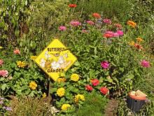 2017 Wildlife Gardening Workshops with Pat Sutton