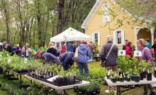 WheatonArts to Host ‘Eco Fair’ Saturday