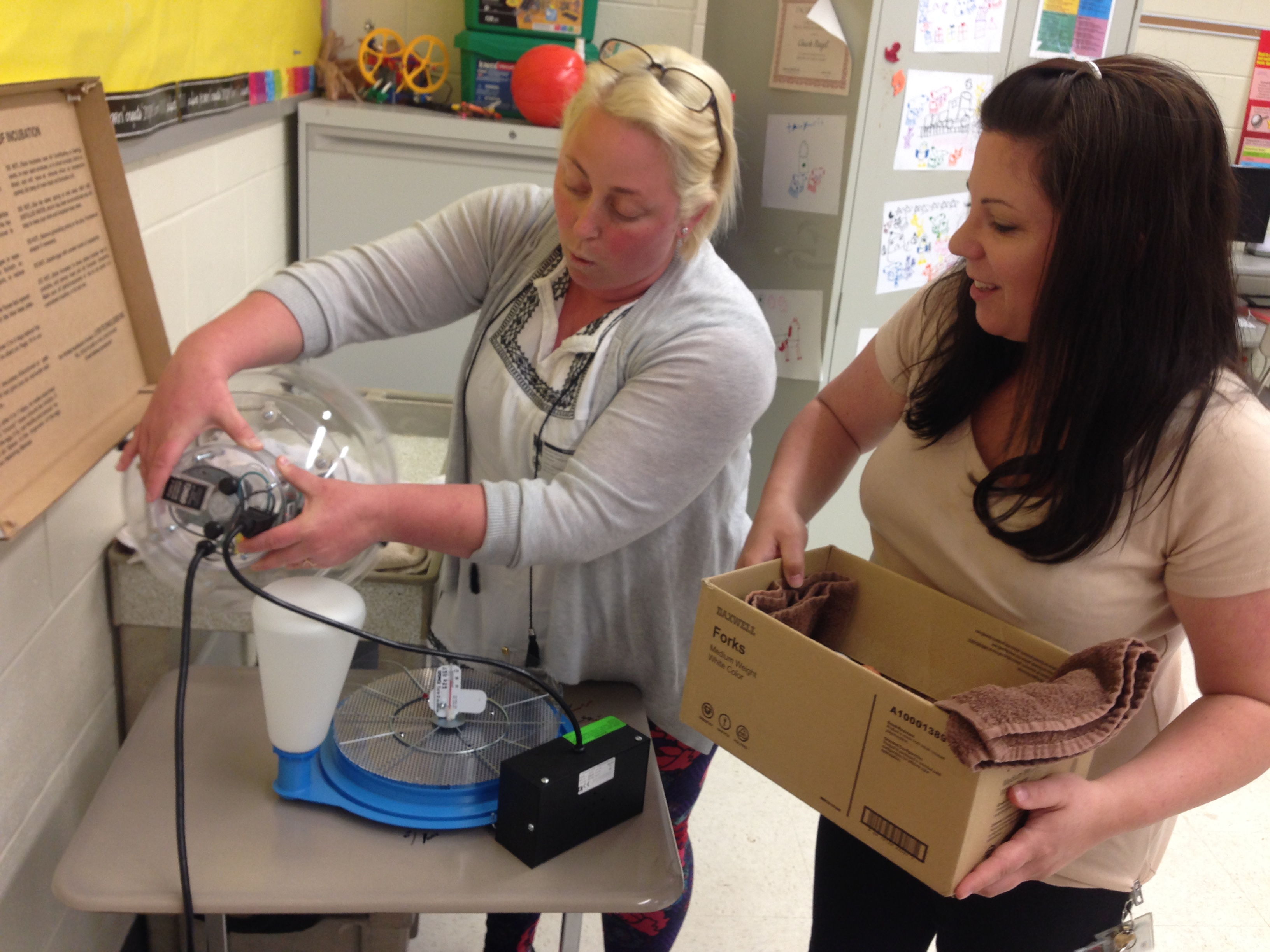 Teacher Amanda Moss and aide adjust incubator light on eggs as part of the classroom’s chicken embryology project.