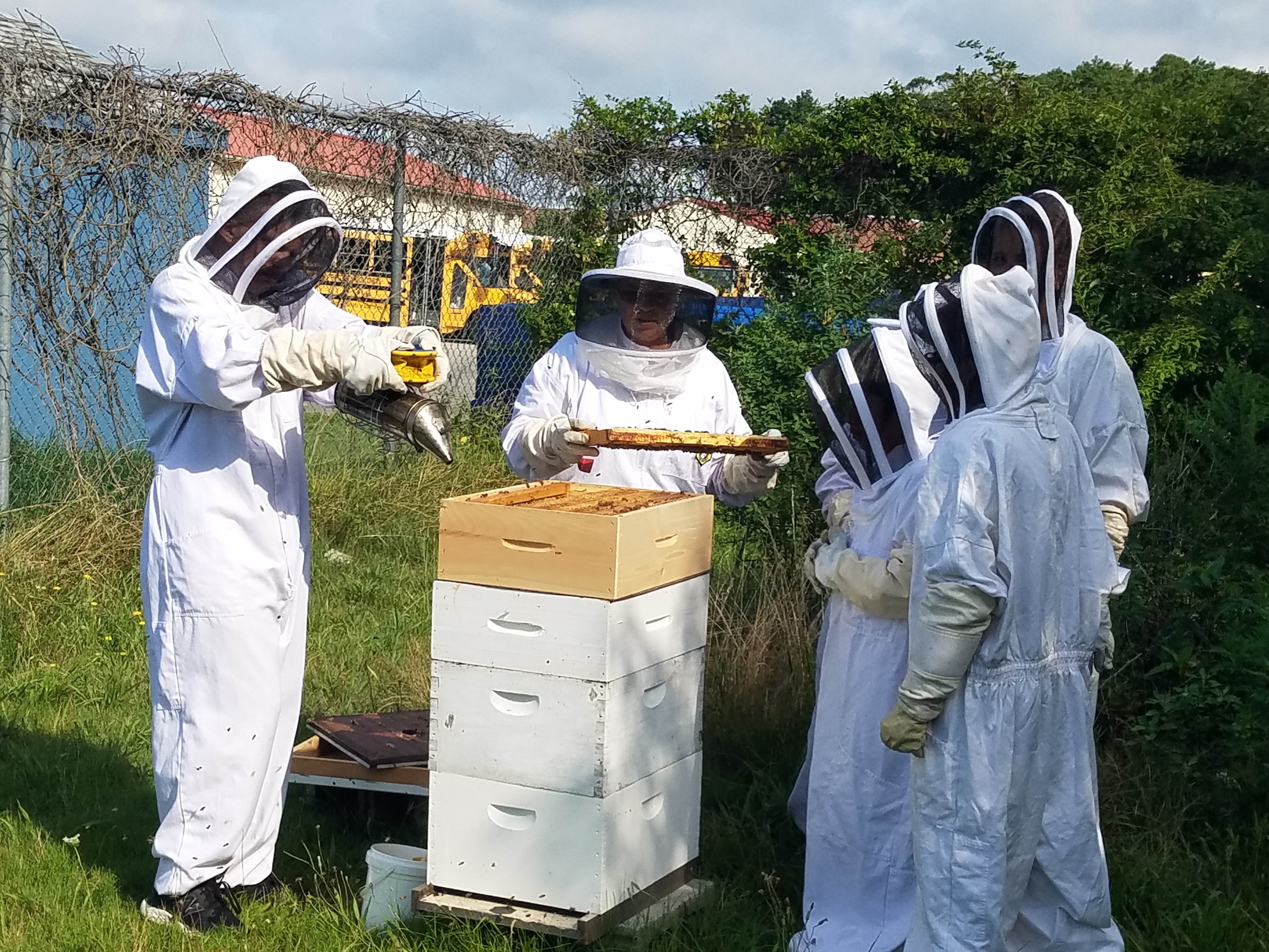 The student on the left smokes the hive as instructor Karren Barr holds a comb for the other students to see. All were dressed in protective clothing to prevent bee stings. Honey bees only sting if they believe their hive is being attacked.