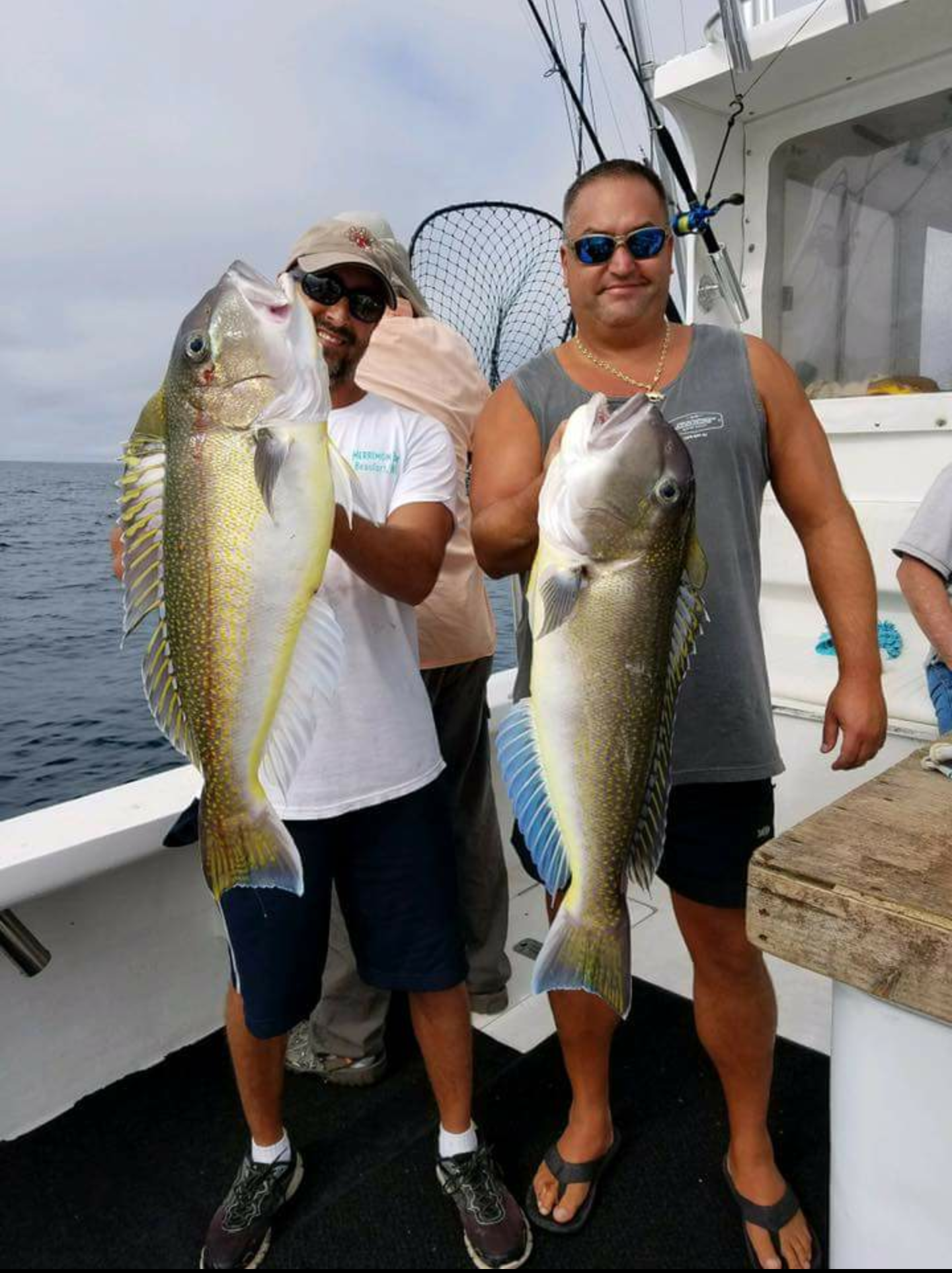 A golden tilefish (L)