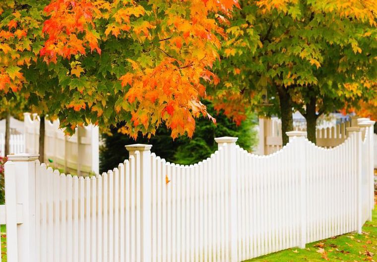 Murphy Fence Fall