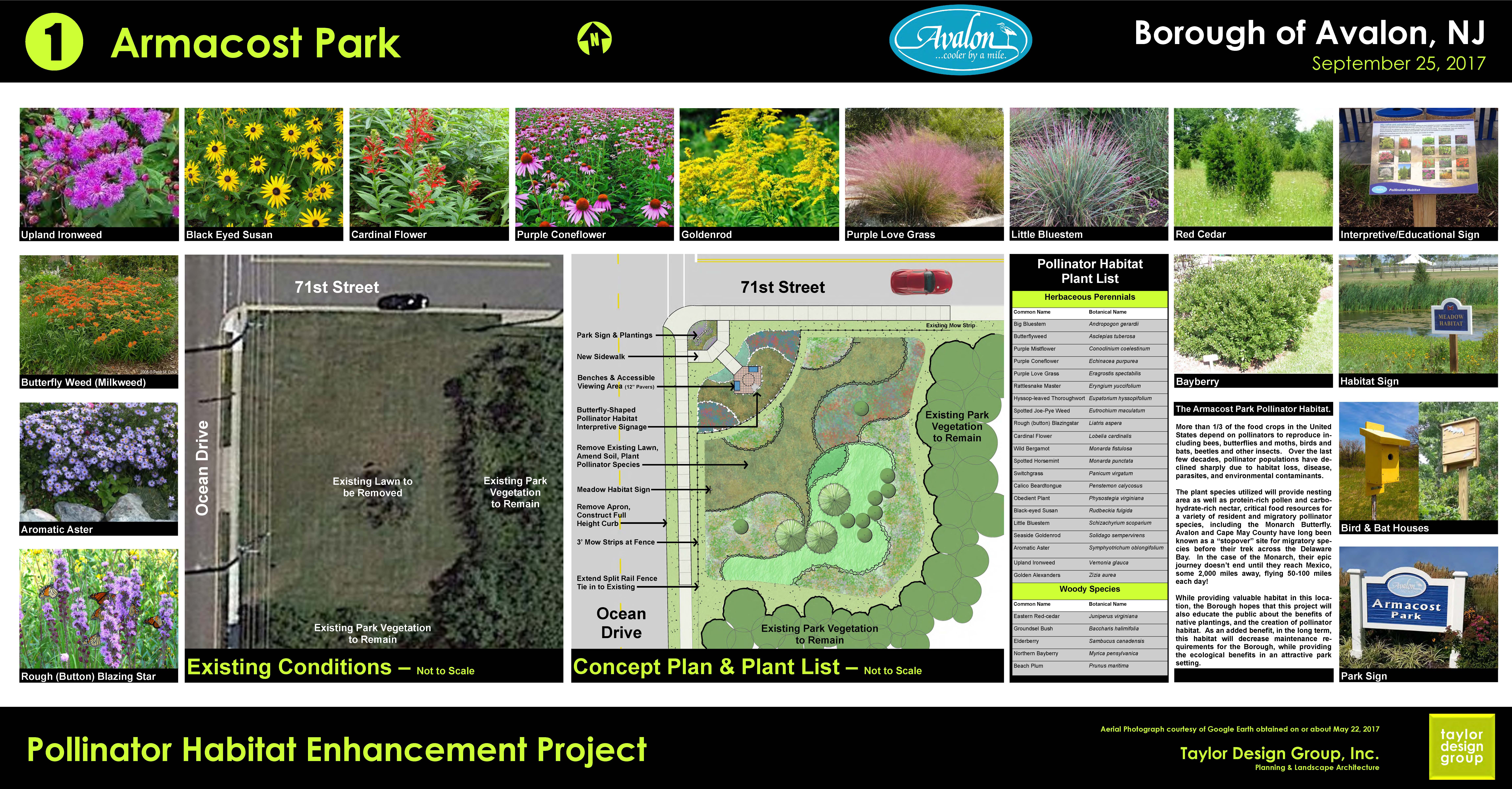 Image shows the graphical draft plan of the project.