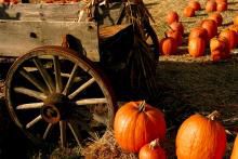 26th Annual Pumpkin Festival and Share the Harvest Food Drive Set for Oct. 21 at Historic Cold Spring Village