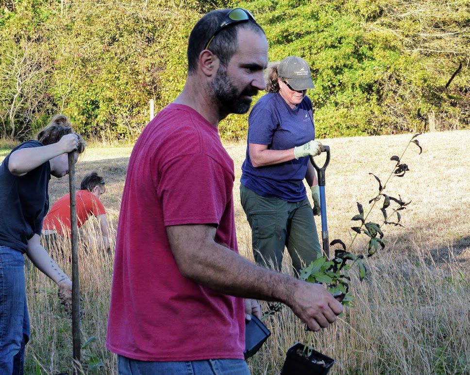 Josh Nemeth carries plants for pollinator garden at Wisting Recreation Complex