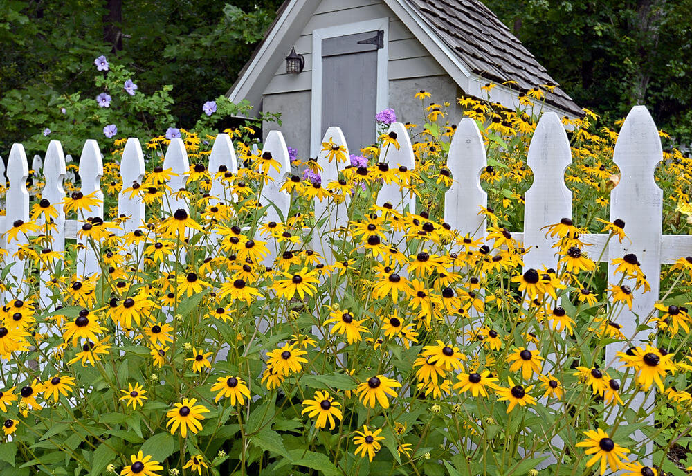 Choose the Right Fence for Spring