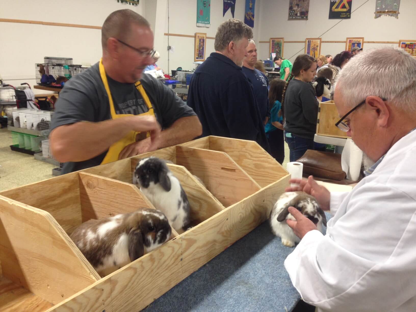 Pitchforks & Buckets 4-H Club Hosts Rabbit Shows May 20