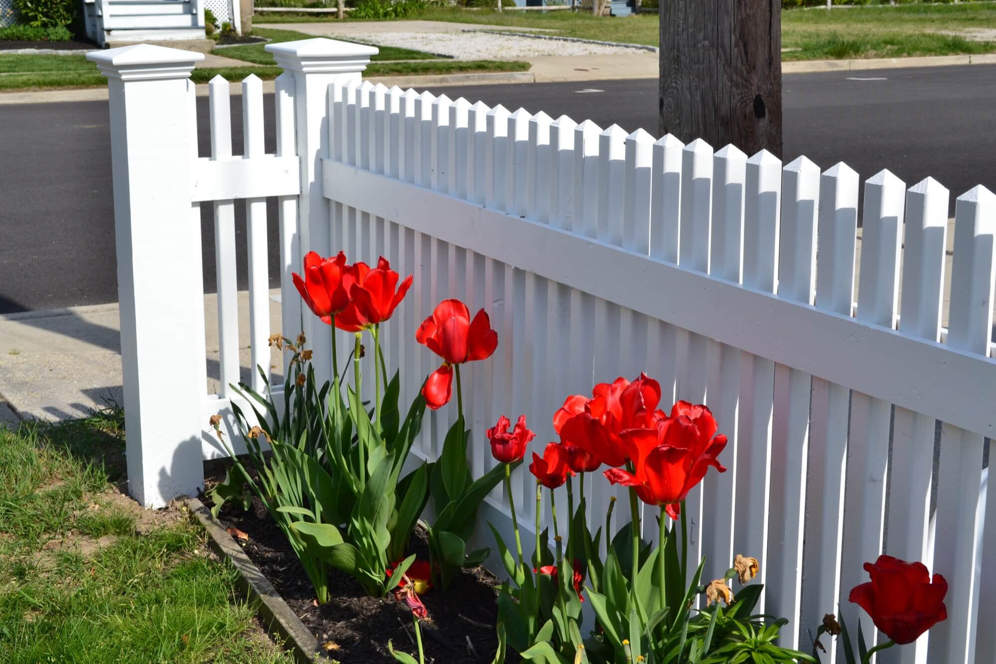 What to Expect When You’re Expecting… A Fence!