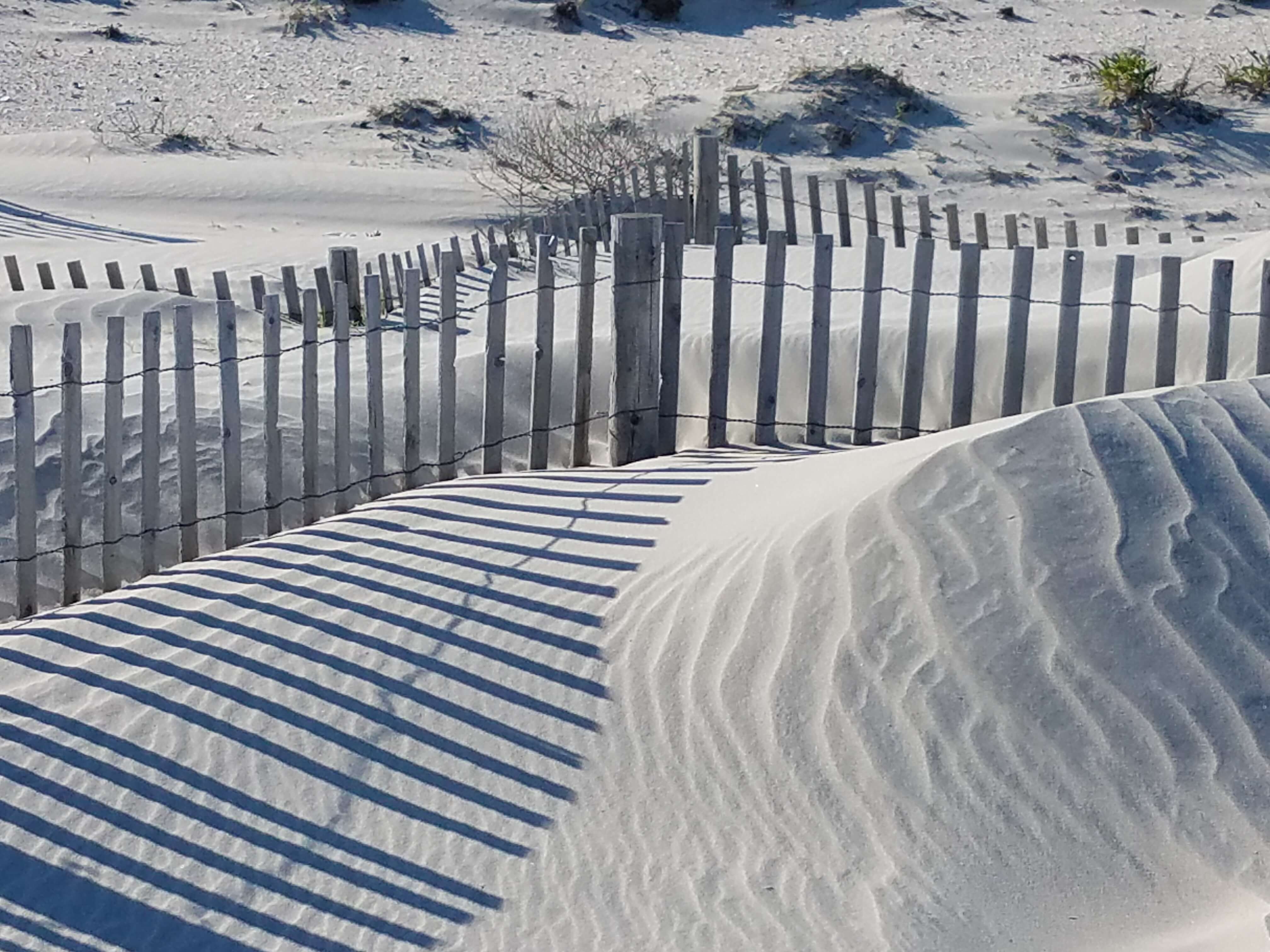 Sand dunes at 95th Street in Stone Harbor.