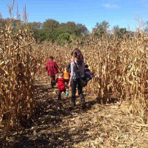 4th Annual Cape May County 4-H Corn Maze and Pumpkin Patch