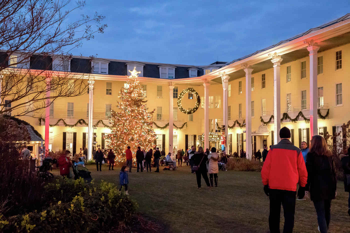 Seeking Tree with Tremendous Christmas Spirit