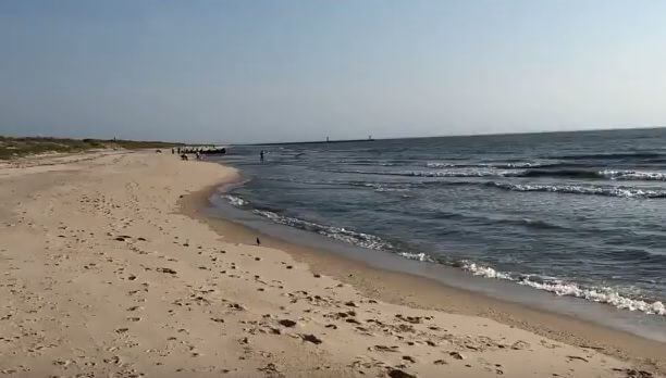 Delaware Bay beach.