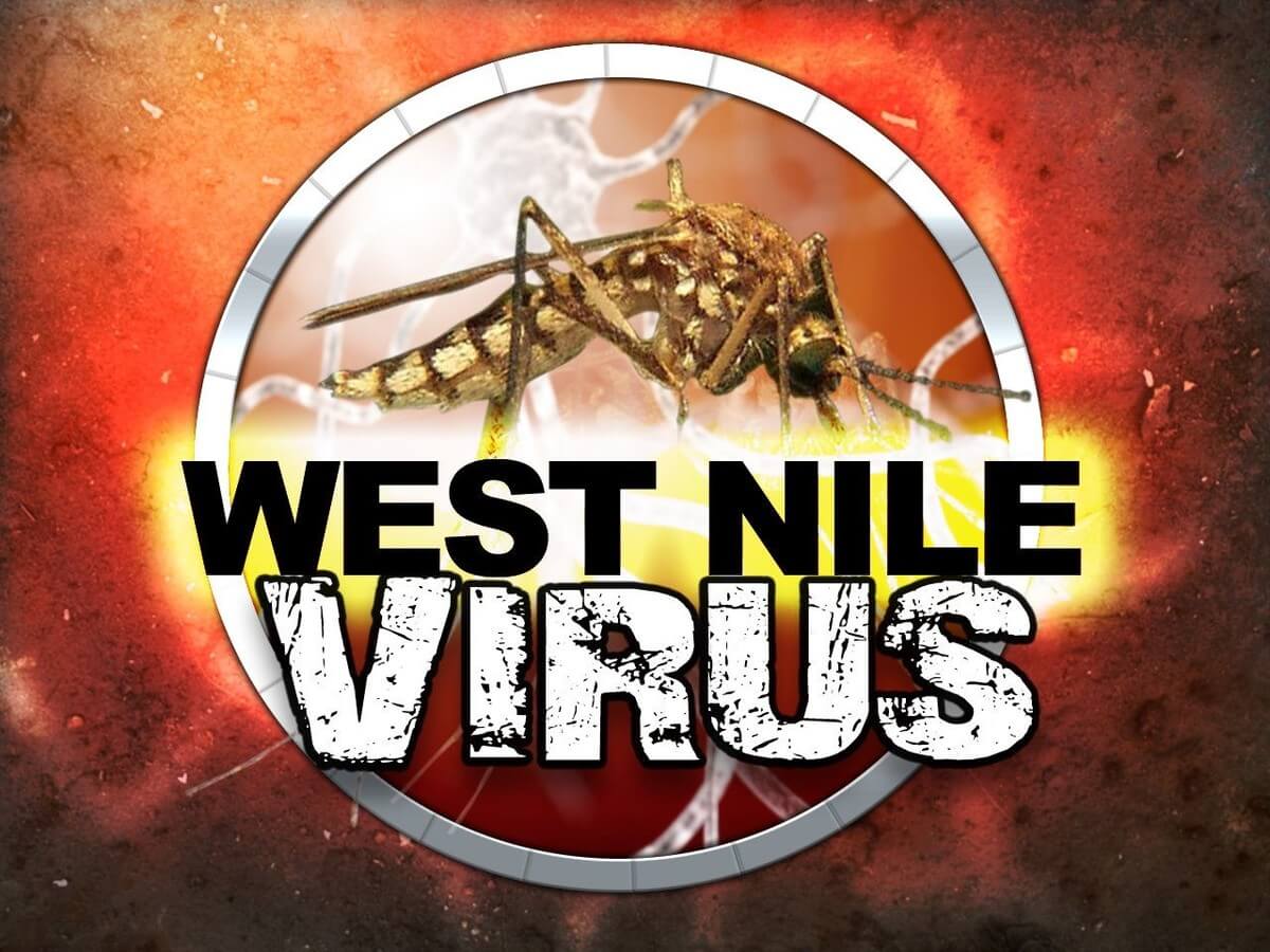 County Resident Hospitalized for West Nile Virus